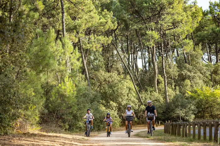 famille à vélo dans la forêt à la Tranche sur Mer